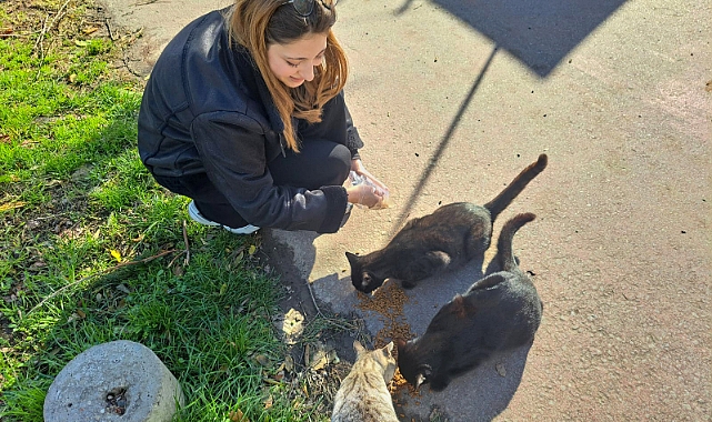 Sokak hayvanları için mama dağıttılar