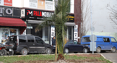 Hendek Belediyesinden İlçeye Yeşil Dokunuş