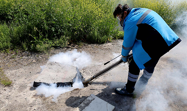 Sakarya Büyükşehir şehrin dört bir yanında haşereyle mücadele mesaisine başladı.